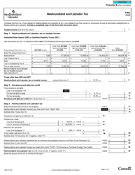 Form T3NL Newfoundland and Labrador Tax - Canada