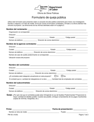 Document preview: Formulario PW5S Formulario De Queja Publica - New York (Spanish)
