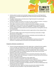 New York Declaration on Forests - Action Statements and Action Plans, Page 12