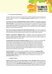 New York Declaration on Forests - Action Statements and Action Plans, Page 17