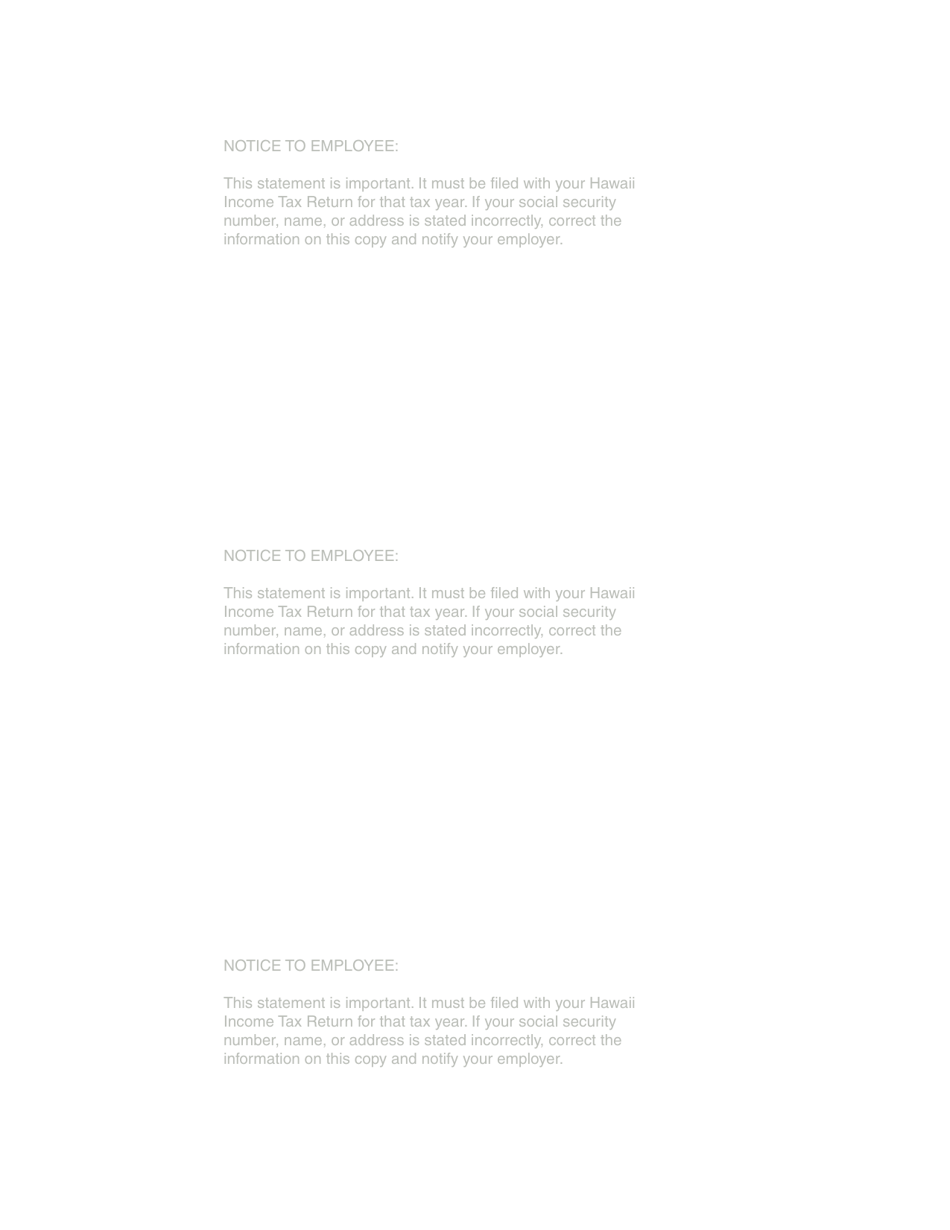 Form HW-2 Statement of Hawaii Income Tax Withheld and Wages Paid - Hawaii, Page 4