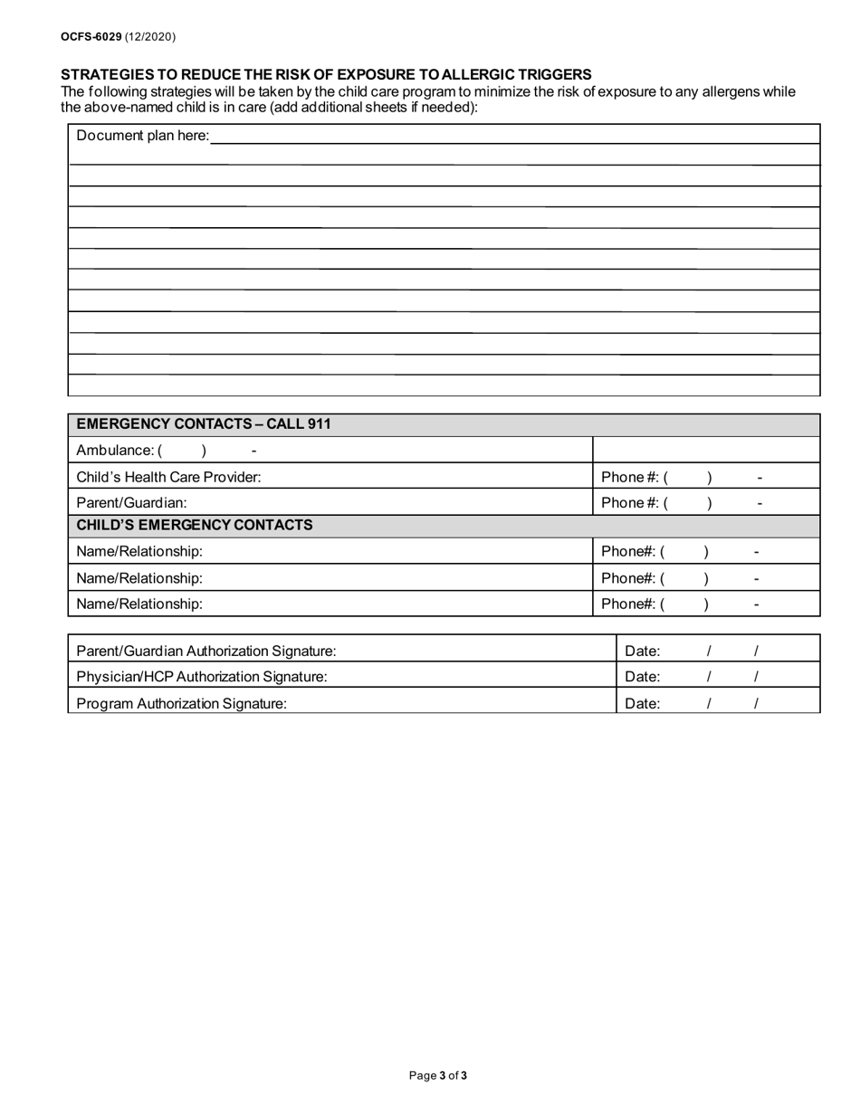 Form OCFS-6029 - Fill Out, Sign Online and Download Printable PDF, New ...