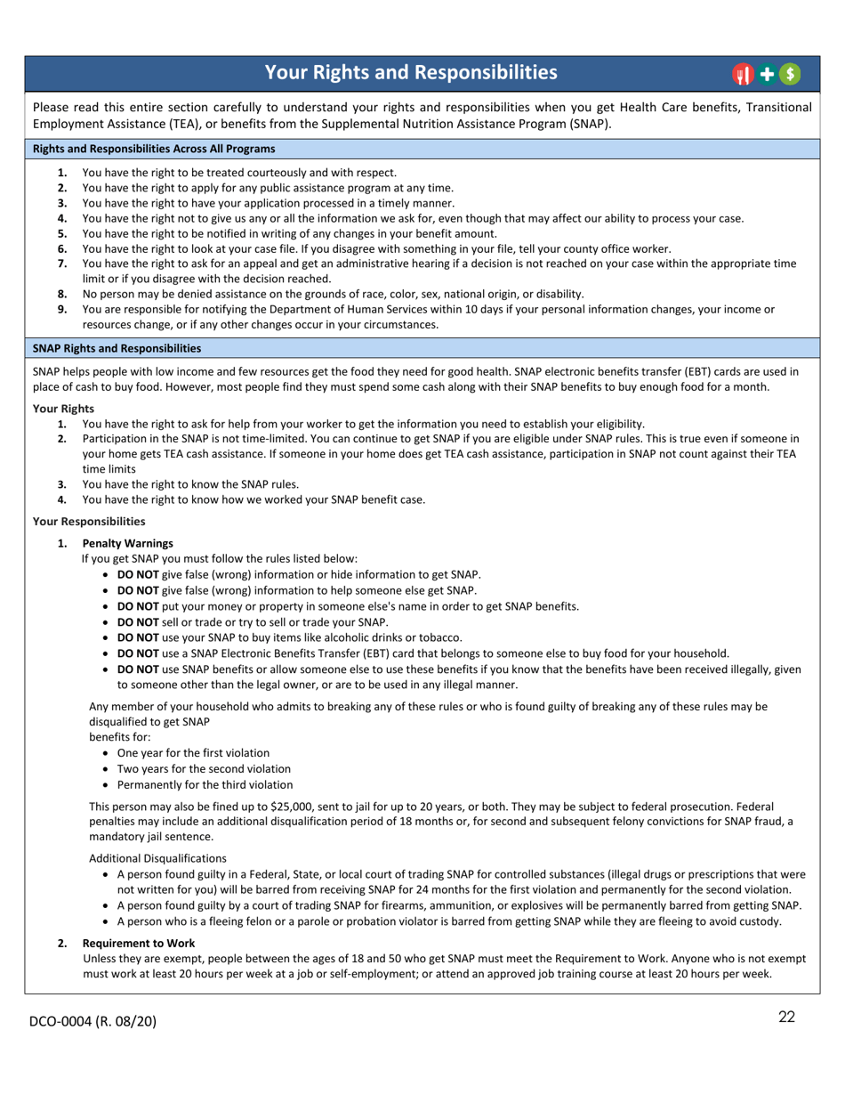 Form DCO-0004 Application for Snap, Health Care, and Tea / Rca Benefits - Arkansas, Page 22