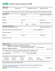 Form 3958A Worker&#039;s Exposure Incident Form (Peir) - Ontario, Canada, Page 2