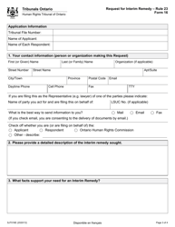 Form 16 Request for Interim Remedy - Ontario, Canada, Page 3