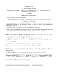 Document preview: Forme 74.9 Affidavit Attestant L'ecriture Et La Signature D'un Testament Ou D'un Codicille Olographe - Ontario, Canada (French)