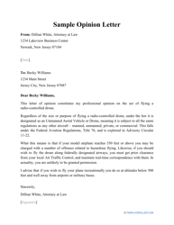 Document preview: Sample Opinion Letter