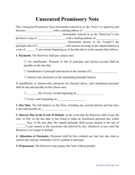 &quot;Unsecured Promissory Note Template&quot;
