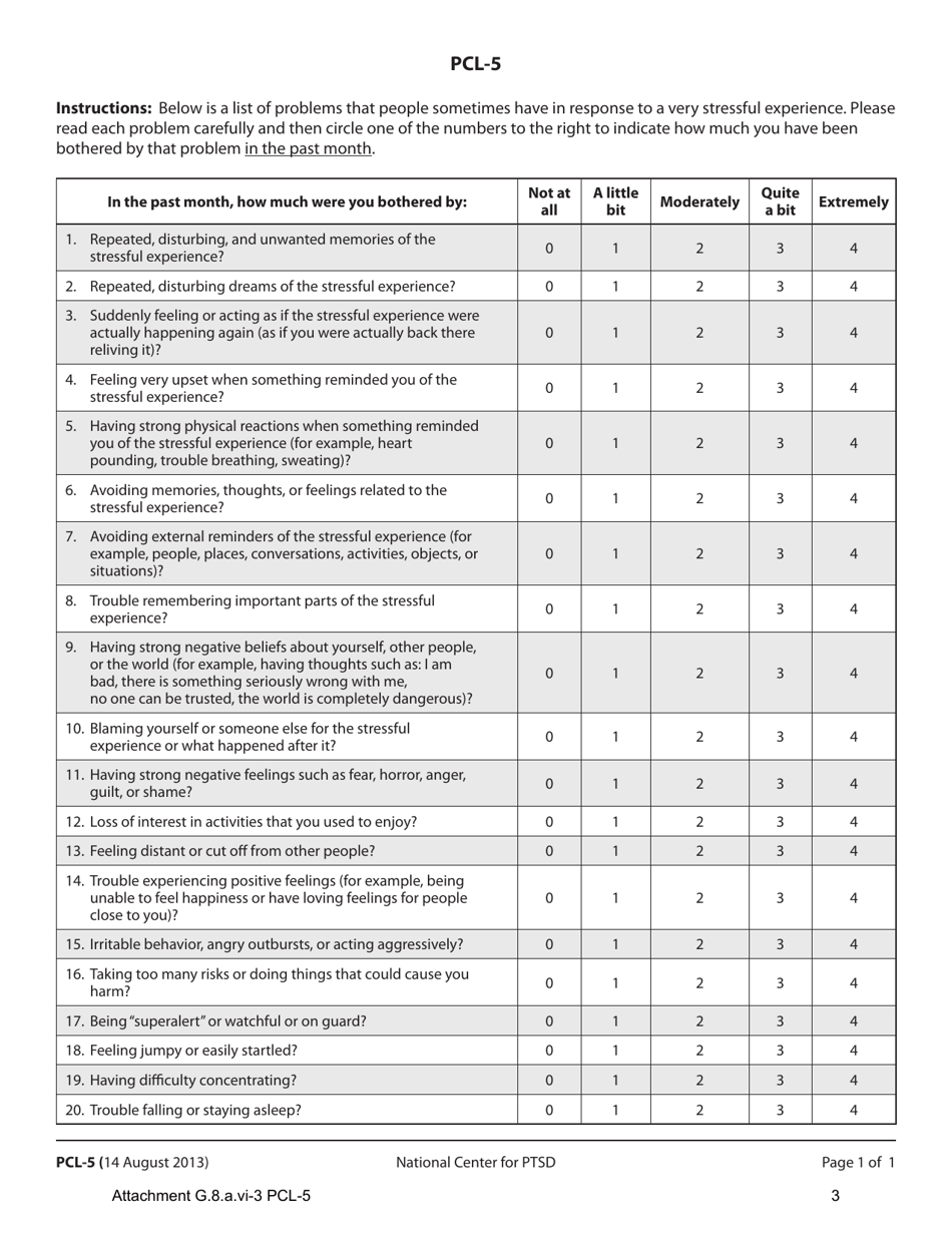 Attachment G.8.A.VI-3 The PTSD Checklist for Dsm-5 - Kentucky, Page 3