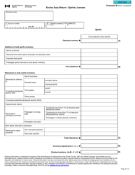 Form B266 Excise Duty Return - Spirits Licensee - Canada, Page 3