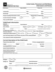 Form CS-0727 &quot;Initial Intake, Placement and Well-Being Information and History&quot; - Tennessee