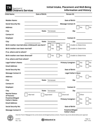 Form CS-0727 Initial Intake, Placement and Well-Being Information and History - Tennessee, Page 14
