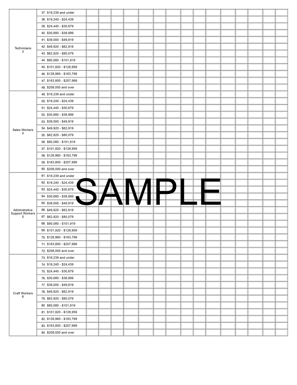 Component 1 and 2 of EEO-1 Report, Page 3