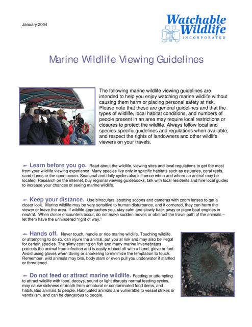 Marine Wildlife Viewing Guidelines Download Pdf