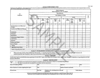 Form SF100 Employer Information Report EEO-1, Page 2