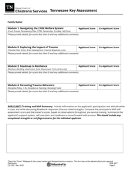 Form CS-1227 Tennessee Key Assessment - Tennessee, Page 3