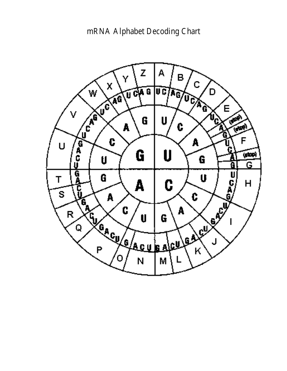 Dna Whodunit Worksheet - Lassiter High School, Page 4