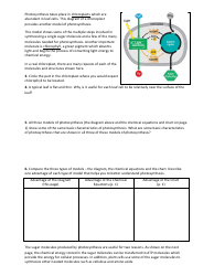 Models of Photosynthesis Worksheet - Monroe Township High School, Page 2
