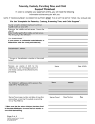 Document preview: Form DC6:8.2 Paternity, Custody, Parenting Time, and Child Support Worksheet - Nebraska
