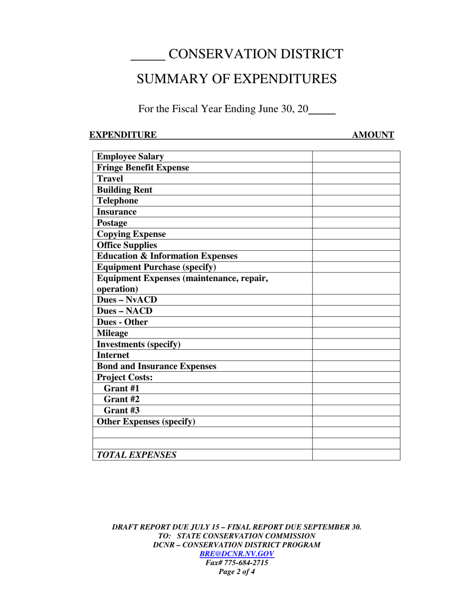 Year-End Financial Report - Nevada, Page 2