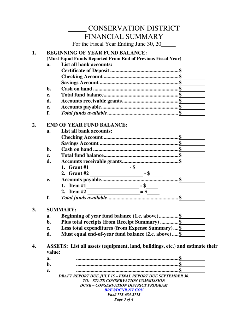 Year-End Financial Report - Nevada, Page 3