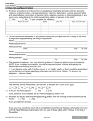 Form NHJB-2162-FPE Petition for Guardian of Minor - New Hampshire, Page 4
