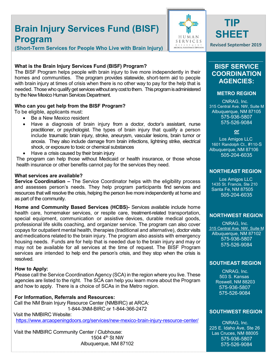 Form MAD386 Brain Injury Services Fund (Bisf) Program Application - New Mexico, Page 11