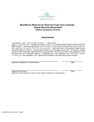 Form MAD386 Brain Injury Services Fund (Bisf) Program Application - New Mexico, Page 6