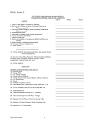 Form FB101 Annex C Projection of Income and Expense to Be Filed in Connection With Application by Foreign Banking Corporation to Open and Maintain a Branch/Agency - New York, Page 4
