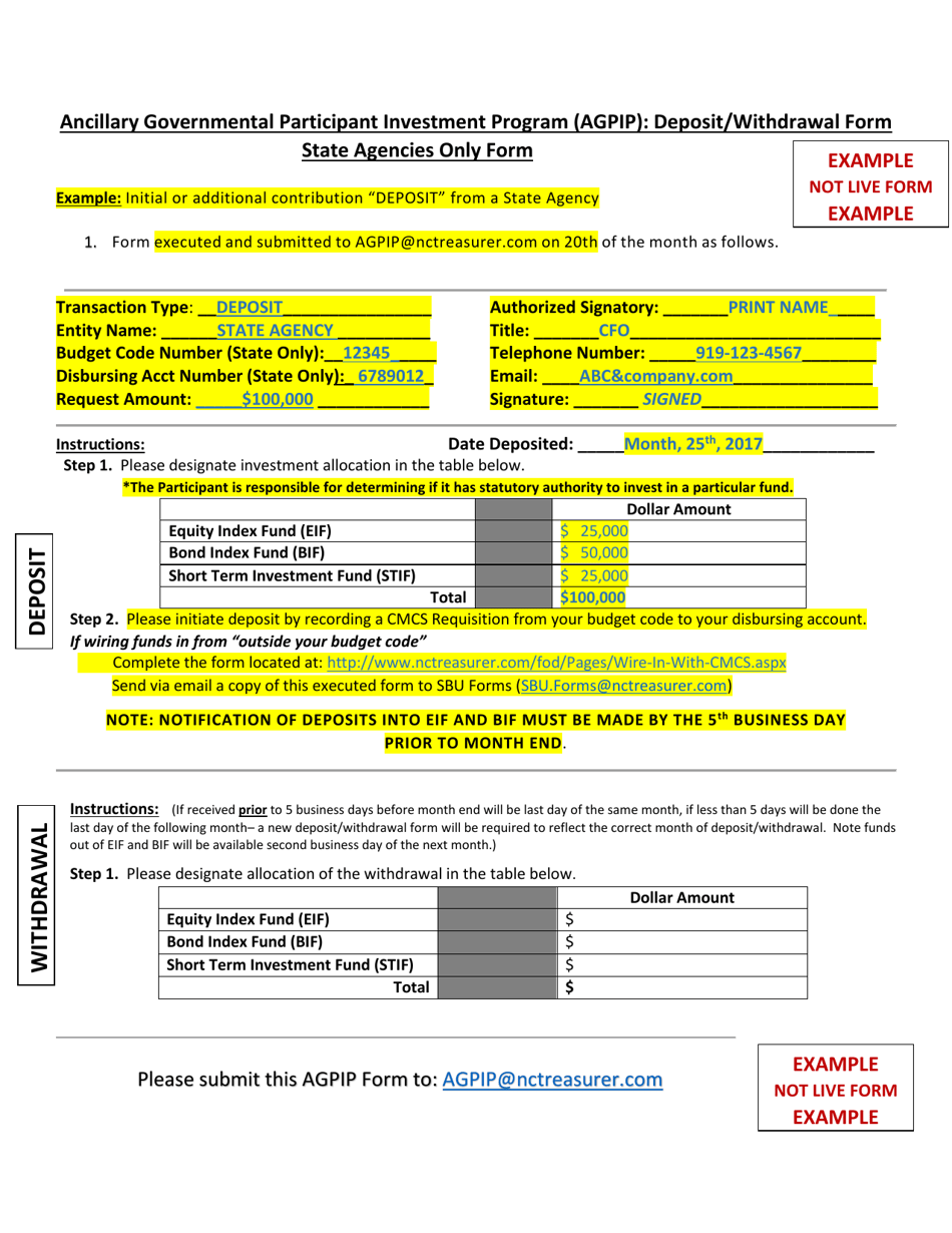 Instructions for Ancillary Governmental Participant Investment Program (Agpip) Deposit / Withdrawal Form - State Agencies - North Carolina, Page 4