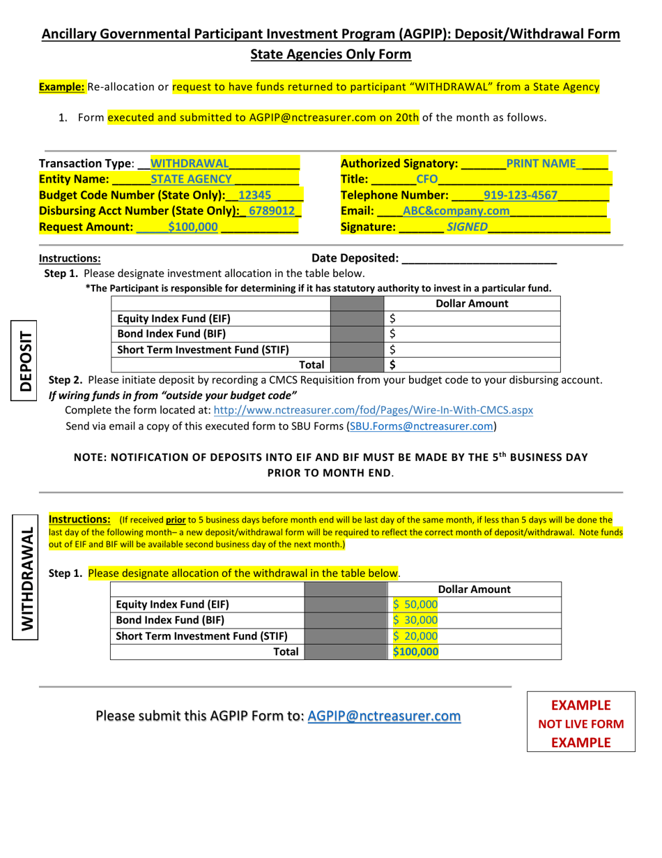 Instructions for Ancillary Governmental Participant Investment Program (Agpip) Deposit / Withdrawal Form - State Agencies - North Carolina, Page 5