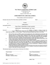Form A2 &quot;Fresh Water Easement Financial Institution Assignment of Cash Collateral&quot; - New Mexico