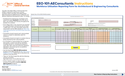 Instructions for Form EEO-101-AECONSULTANTS &quot;Workforce Utilization Reporting Form (AE Consultants)&quot; - New York