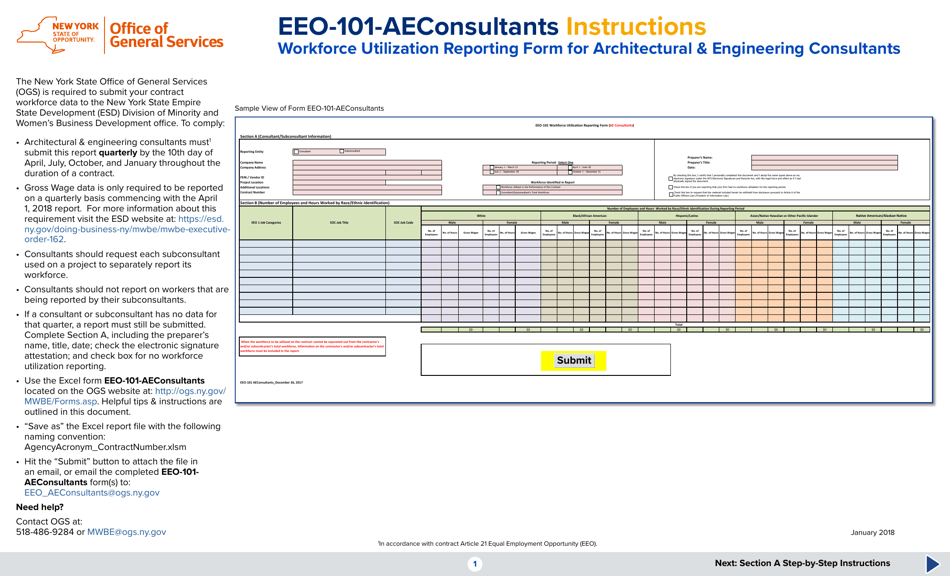 Instructions for Form EEO-101-AECONSULTANTS Workforce Utilization Reporting Form (AE Consultants) - New York, Page 1