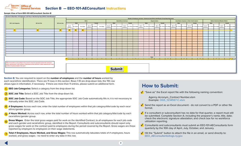 Instructions for Form EEO-101-AECONSULTANTS Workforce Utilization Reporting Form (AE Consultants) - New York, Page 3