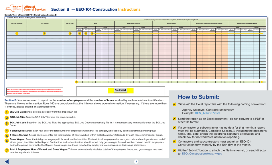 Instructions for Form EEO-101-CONSTRUCTION Workforce Utilization Reporting Form (Construction) - New York, Page 3