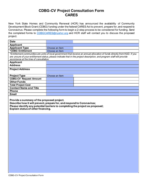 Cdbg-Cv Project Consultation Form - New York Download Pdf
