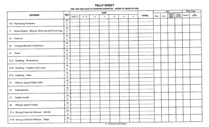 Form DCJS1992 Tally Sheet - New York, Page 4