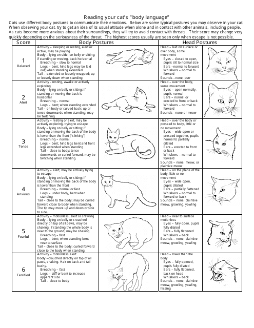 Cat Body Language Chart - Reading Your Cat's Mood Preview