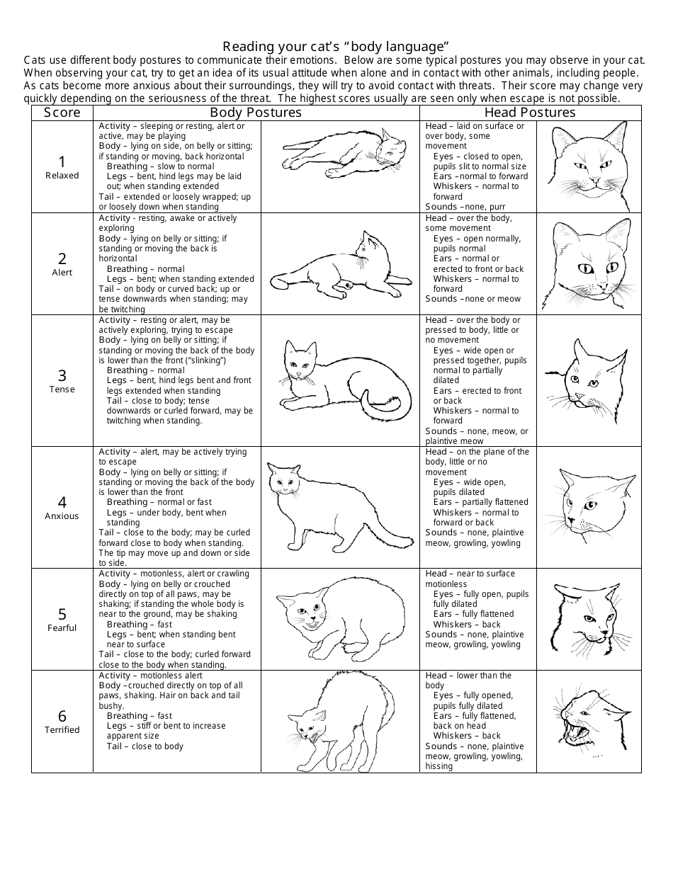 Cat Body Language Chart Reading Your Cat s Mood Download Printable 