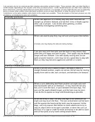 Cat Body Language Chart - Reading Your Cat&#039;s Mood, Page 2