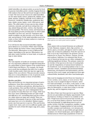 Fish and Wildlife Habitat Management Leaflet Number 34: Native Pollinators, Page 4