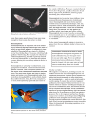 Fish and Wildlife Habitat Management Leaflet Number 34: Native Pollinators, Page 5