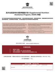 Document preview: Form PA600 FS-CH (SG) Pennsylvania Application for the Supplemental Nutrition Assistance Program (Snap) - Pennsylvania (Chinese)