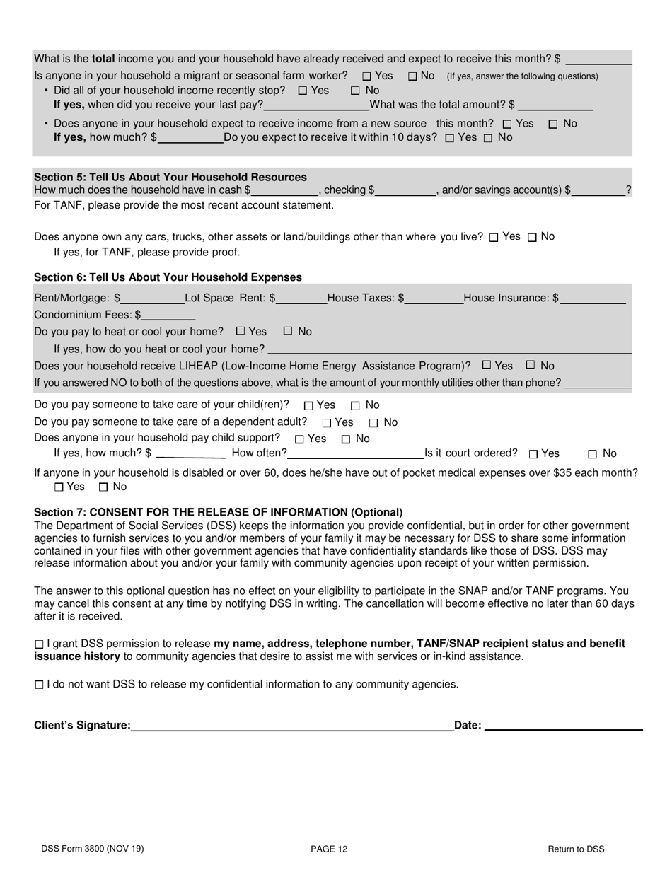 DSS Form 3800 Fill Out, Sign Online and Download Printable PDF, South