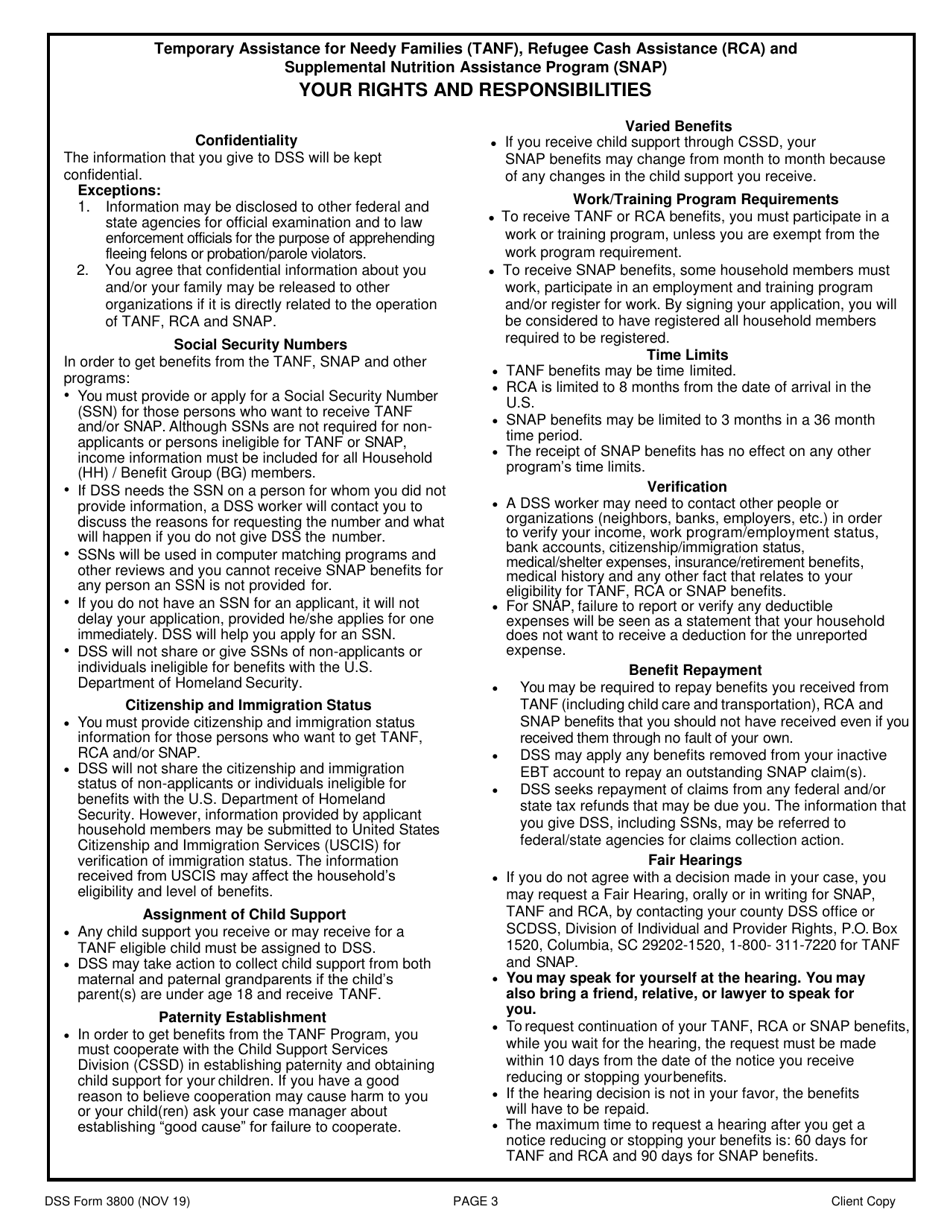 DSS Form 3800 Fill Out, Sign Online and Download Printable PDF, South