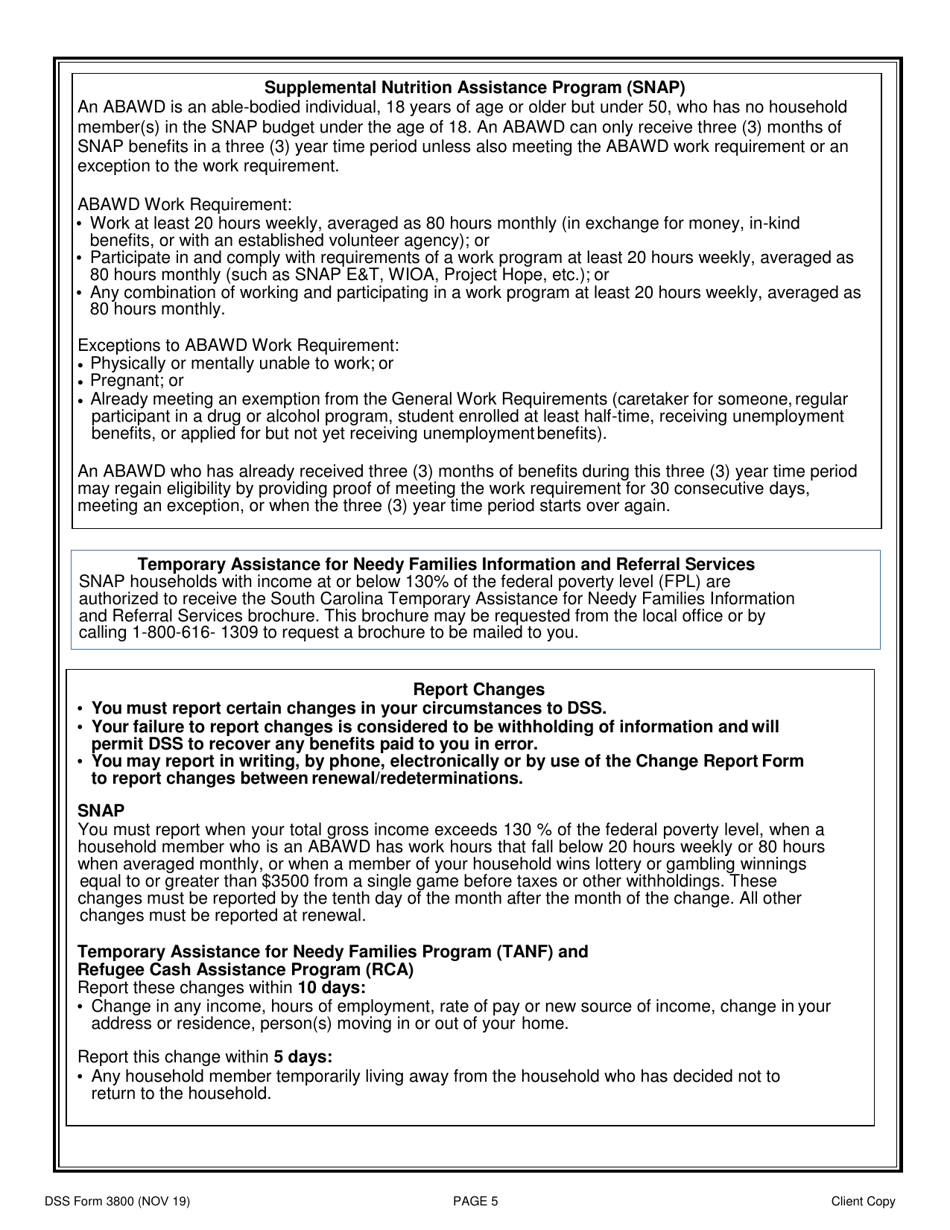 DSS Form 3800 Fill Out, Sign Online and Download Printable PDF, South