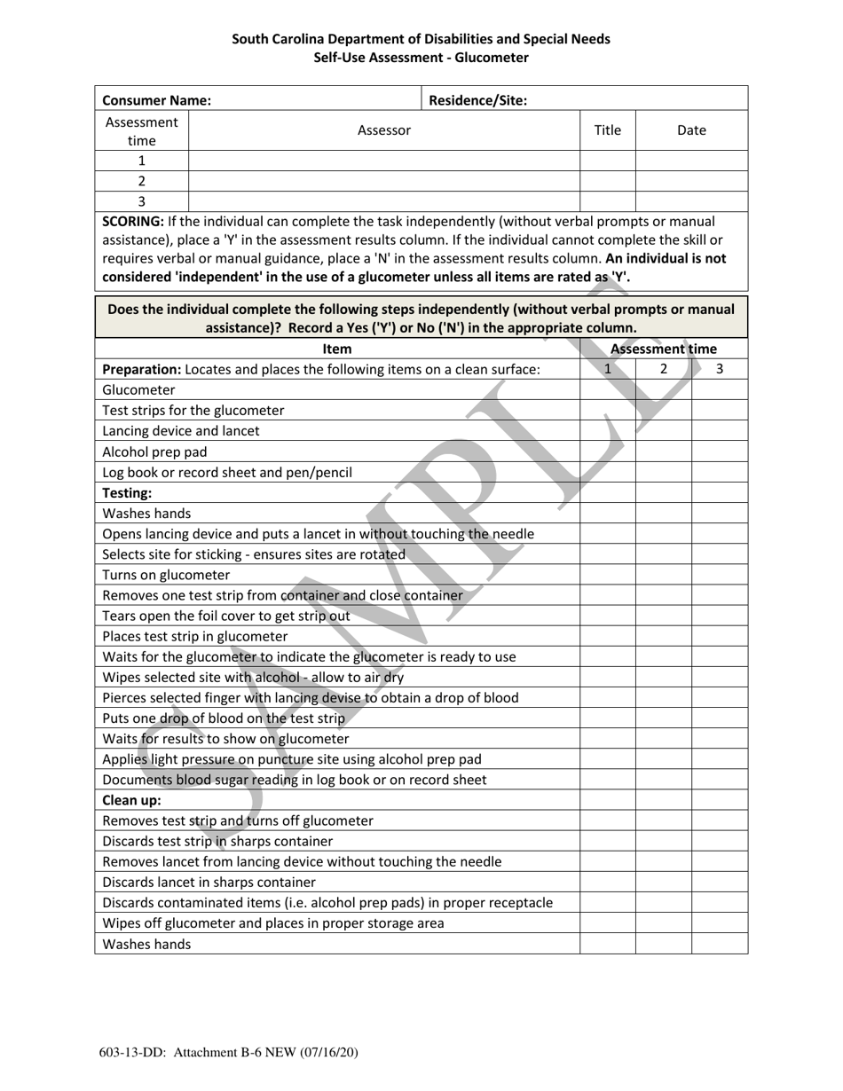 Attachment B-6 Self-use Assessment - Glucometer - Sample - South Carolina, Page 1