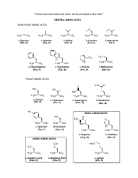 Chem 108b, Lecture 16, Amino Acids Worksheet - University of California, Page 3