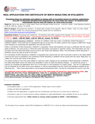 Form VS-301 Application for Certificate of Birth Resulting in Stillbirth - Texas, Page 2